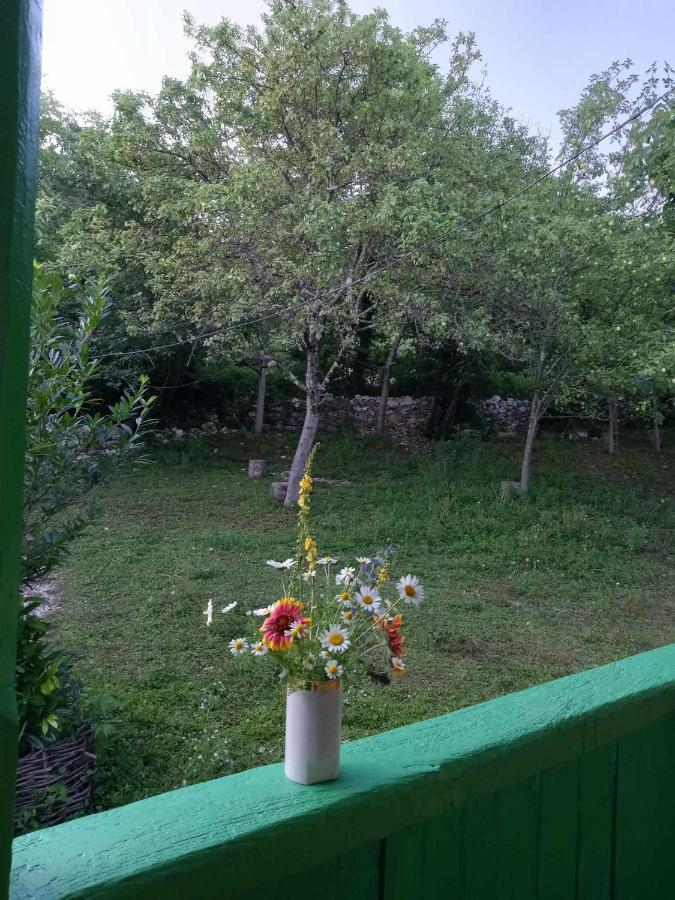Gordi Guest House Guliada מראה חיצוני תמונה